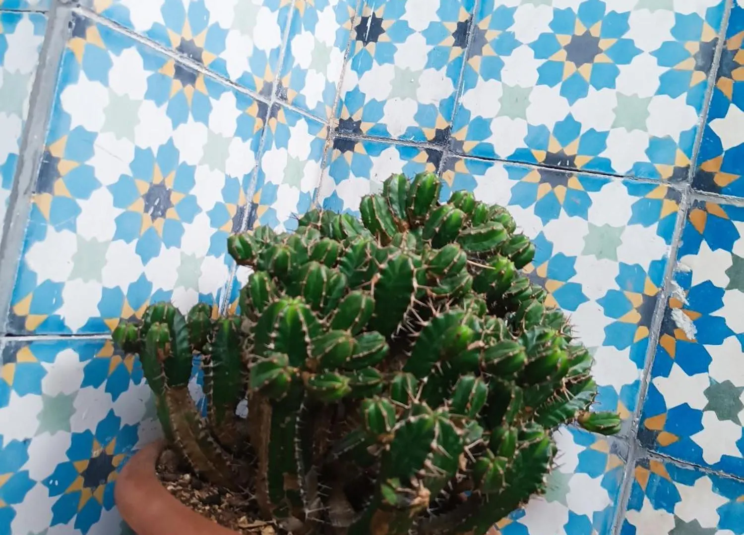 Quarto em Acomodações Particulares Riad Derb El Aarsa Marraquexe
