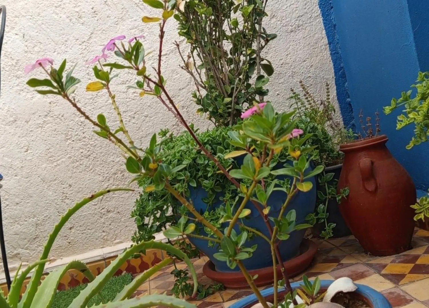 Riad Derb El Aarsa Marrakesh